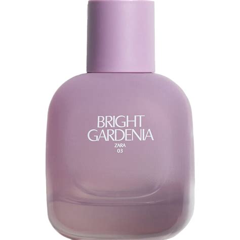 ZARA Bright Gardenia .